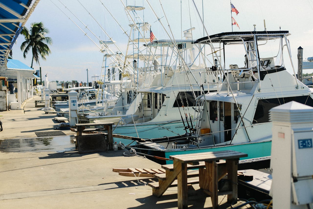 A scenic view of luxurious yachts docked at a sunny marina, with clear skies and palm trees.